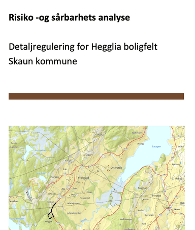 Risiko- og sårbarhetsanalyse